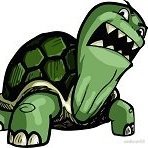 Sillyturtle